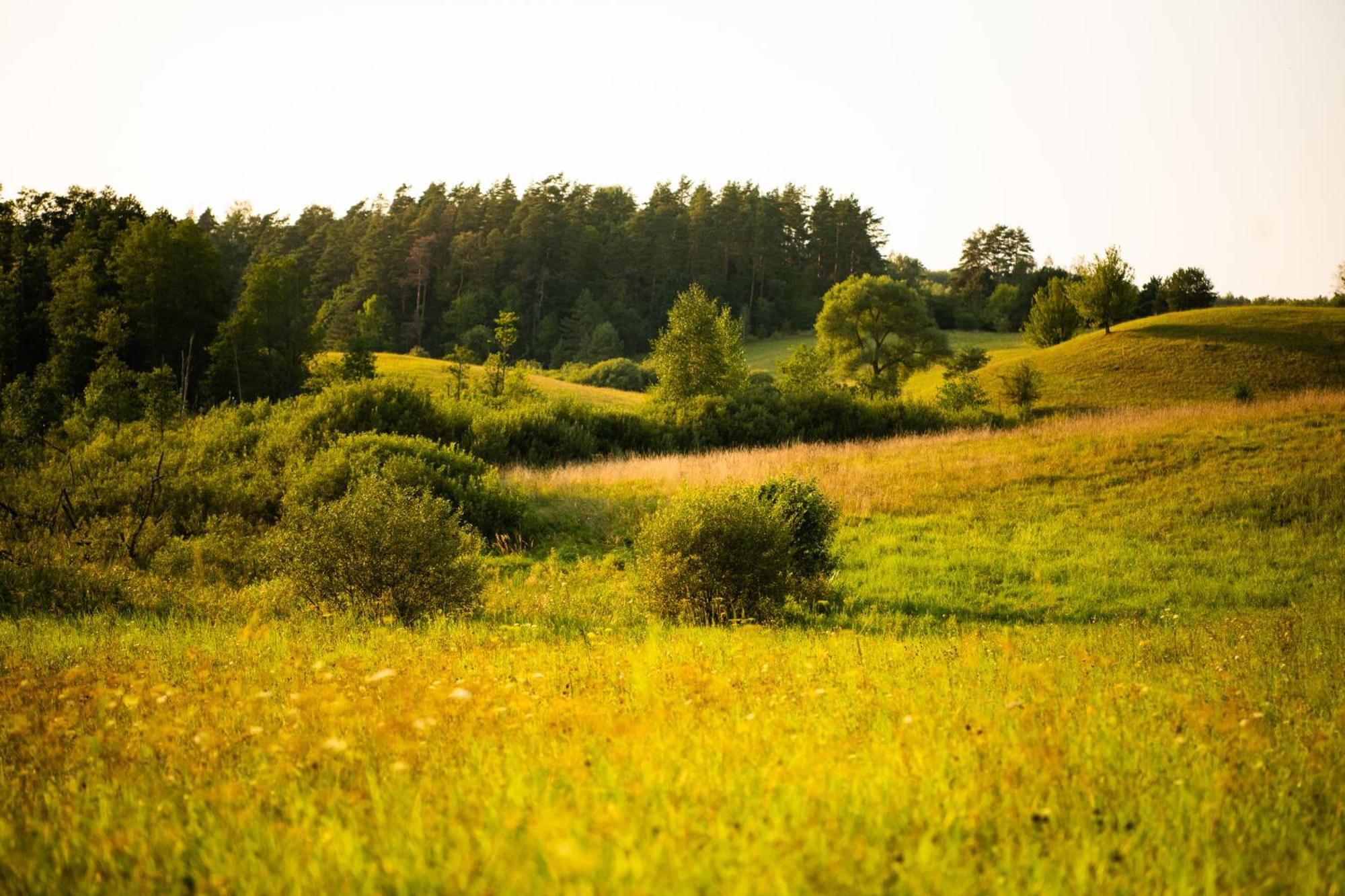 Mazurskie Chatki Mrągowo Esterno foto