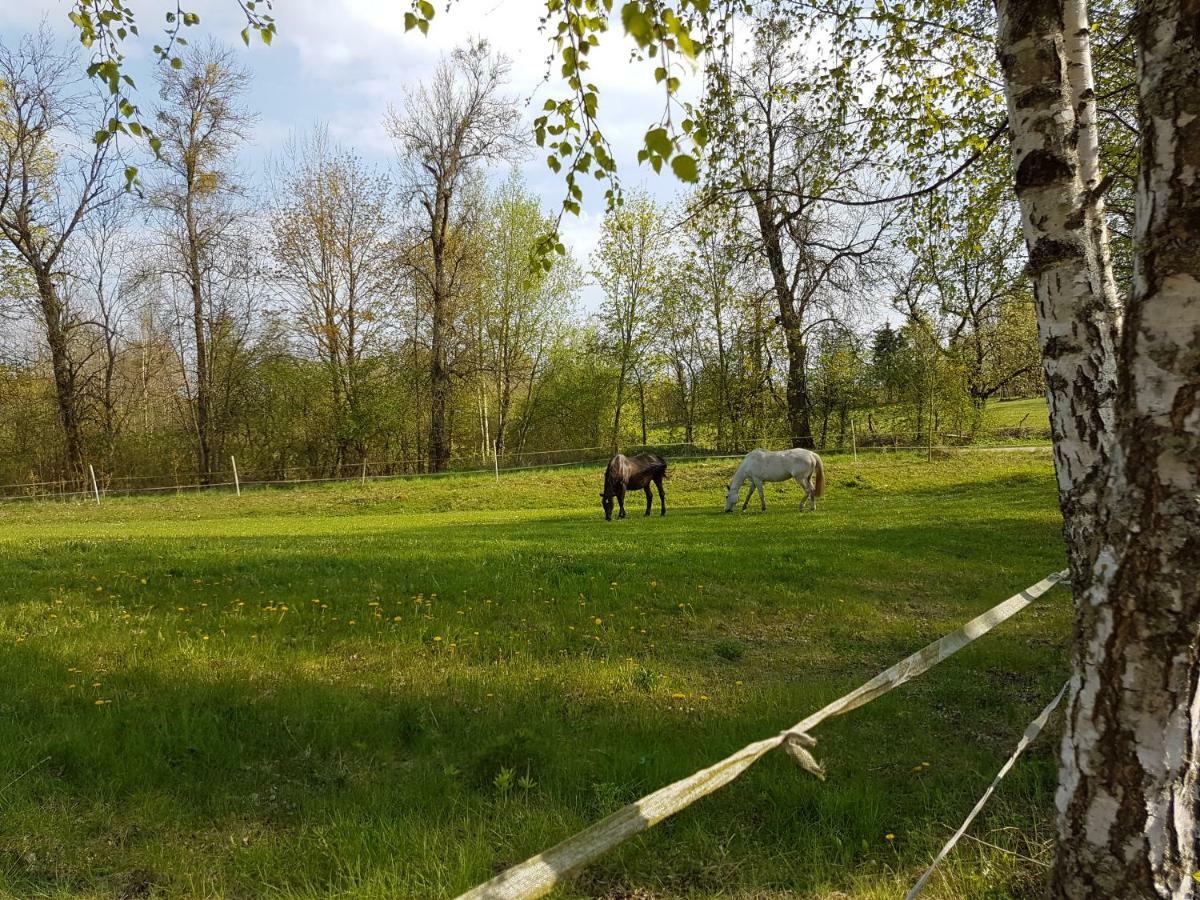 Mazurskie Chatki Mrągowo Esterno foto